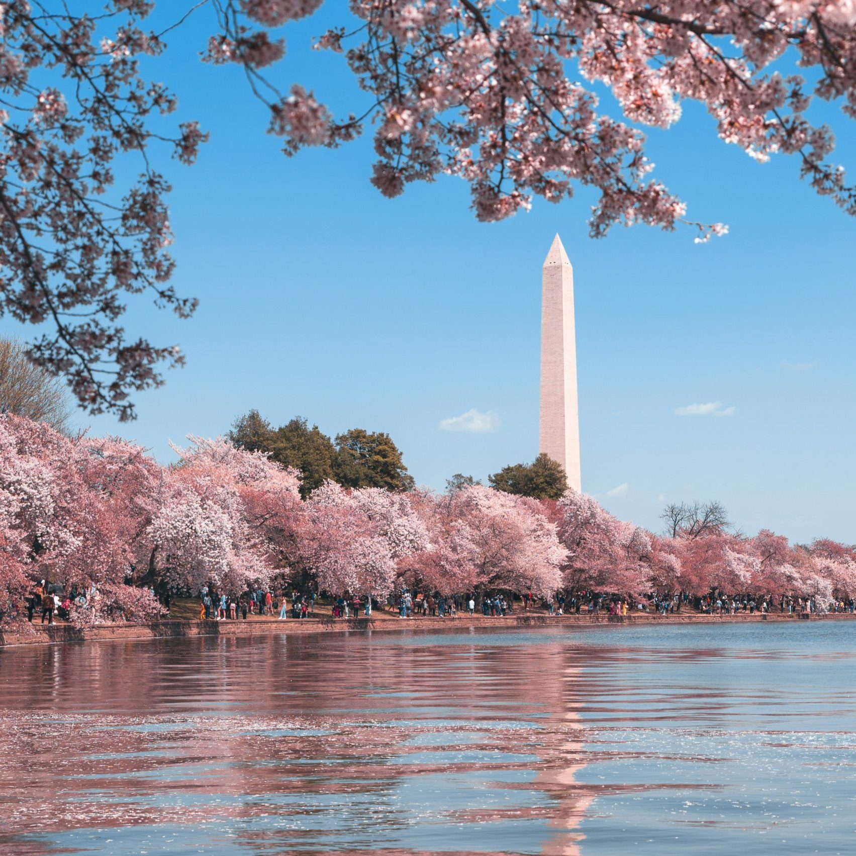 Washington DC